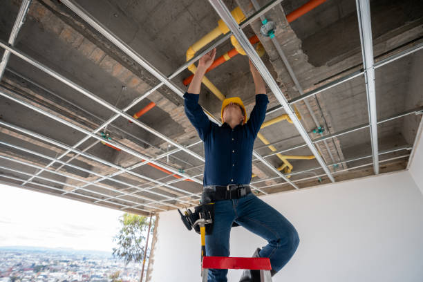Best Drain Cleaning Services  in Fernley, NV