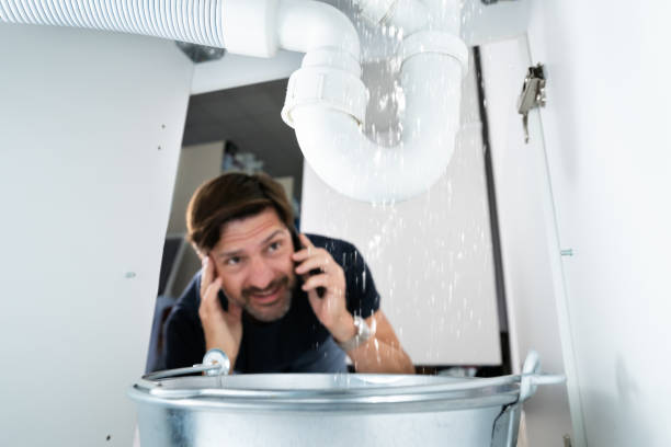 Best Same-Day Plumbing Service  in Fernley, NV