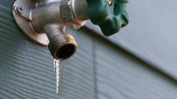 Best Best Plumbers Near Me  in Fernley, NV