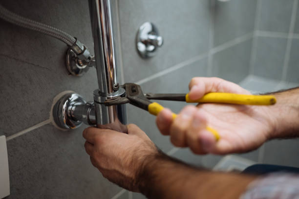 Best Clogged Drain Plumber  in Fernley, NV